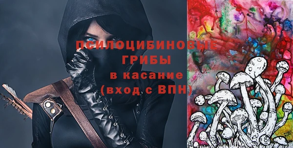 apvp Алексеевка
