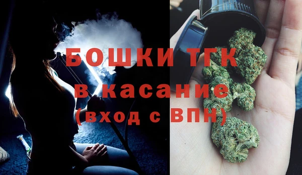 бошки Алексин
