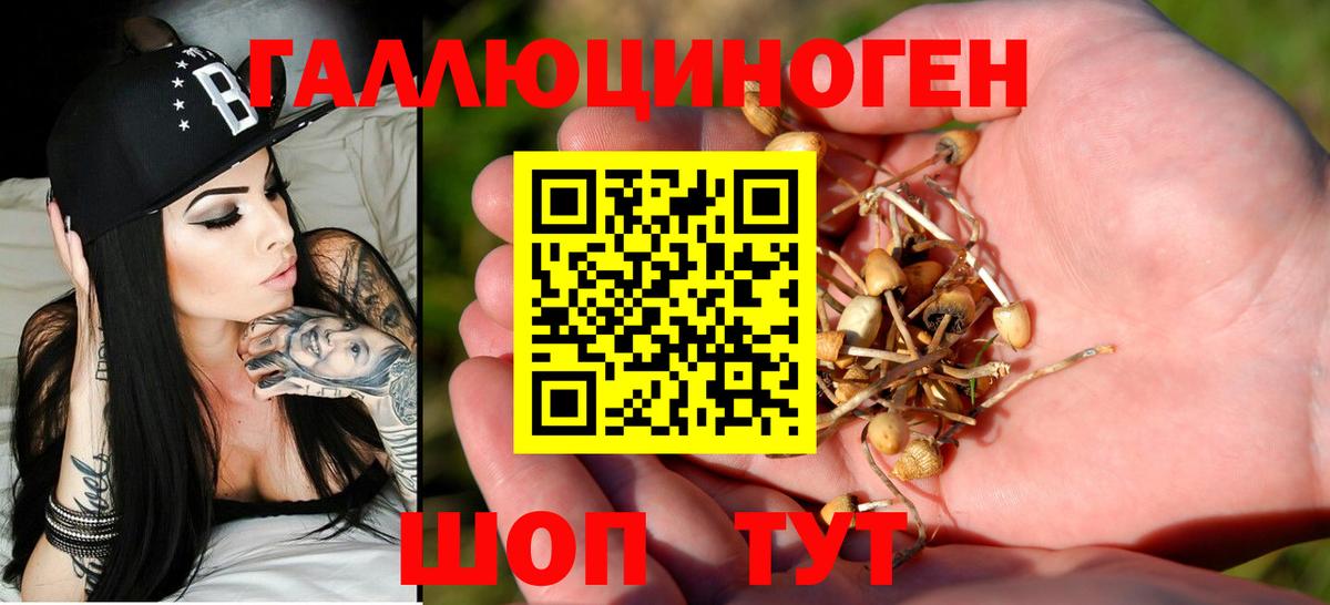 Псилоцибиновые грибы ЛСД Киржач