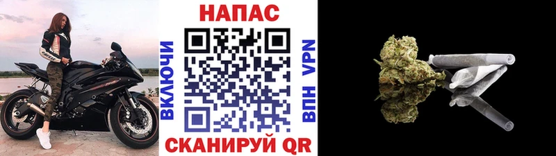 где найти наркотики  Киржач  Бошки марихуана конопля 